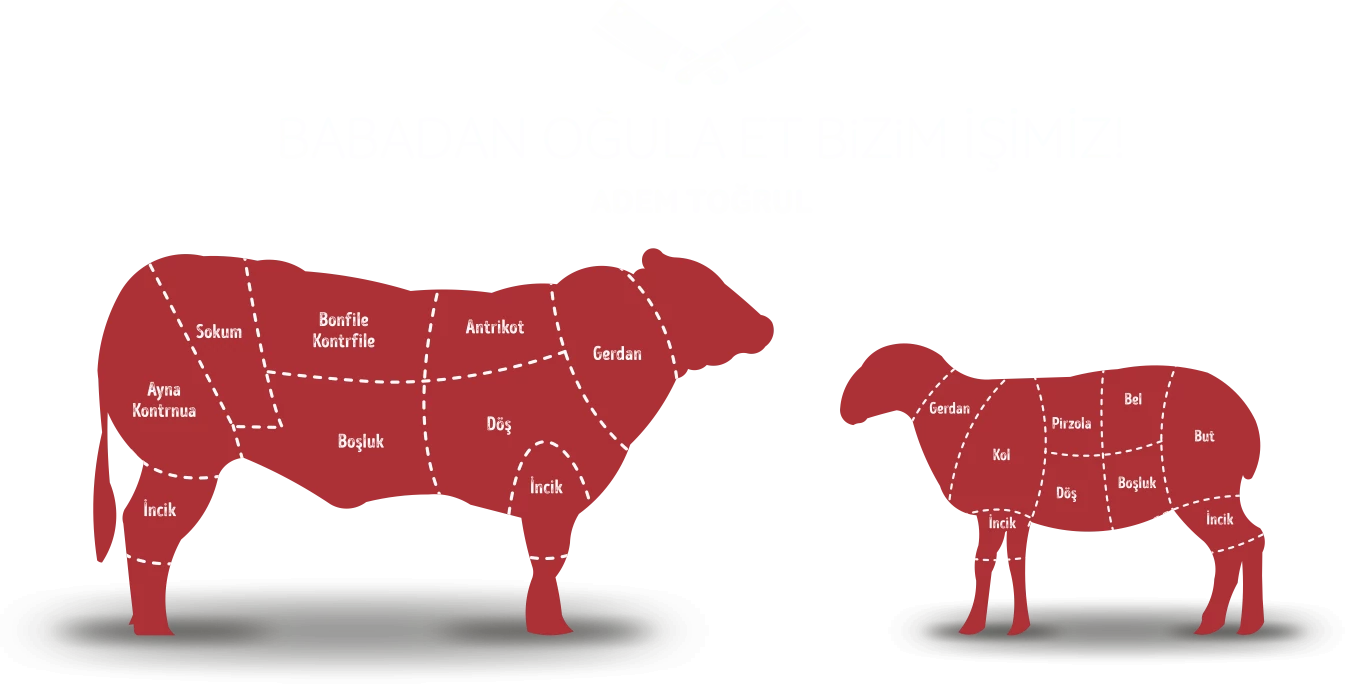 badan oğula et bizim işimiz